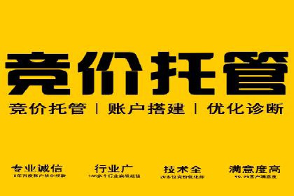 充值返点在电商平台中的运营策略分析